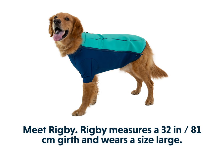 0535_Undercoat_Aurora-Teal_RIGBY_Large_38112204-5e7c-49db-af1f-0ae4be05e7ae.png