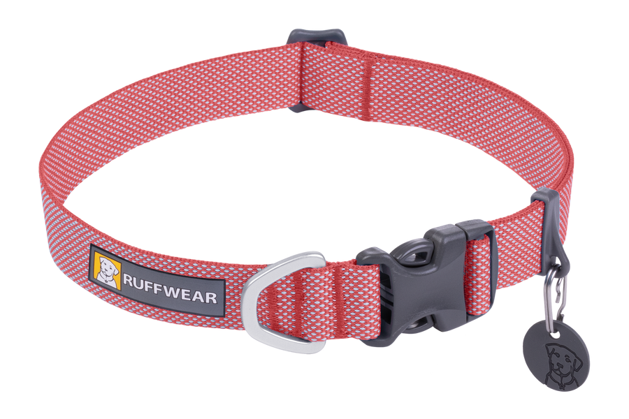 2555-Hi-And-Light-Collar-Salmon-Pink-SMALL.png
