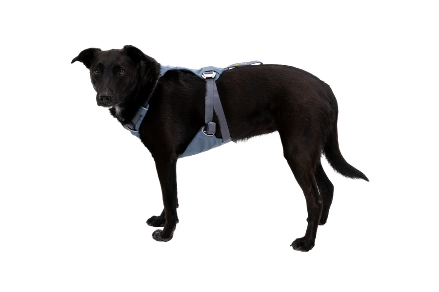 30602_Load-Up-Harness_Slate-Blue_BAYA_Small_No-Text.png