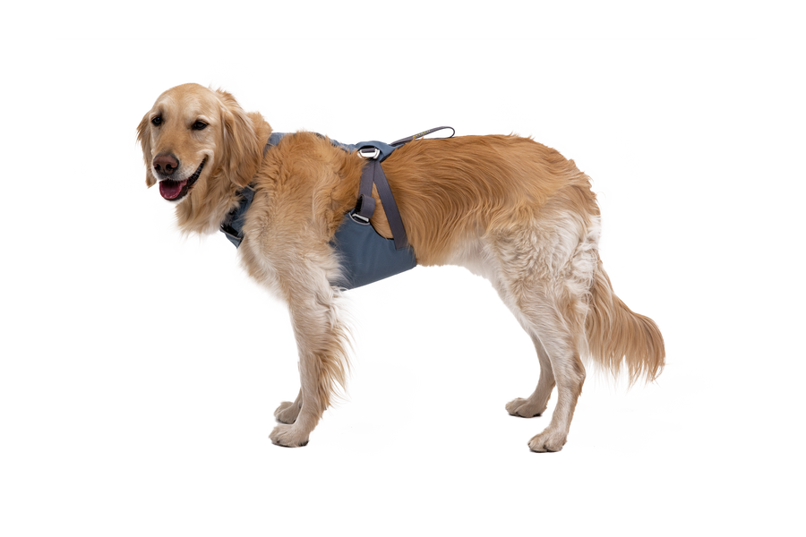 30602_Load-Up-Harness_Slate-Blue_MILLIE_Medium_No-Text.png