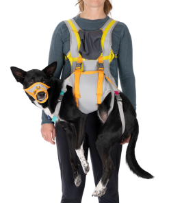 BackTrak™ Dog Evacuation Kit