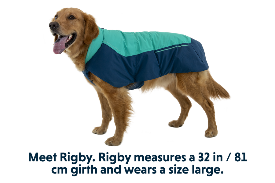 Vert-Large-Rigby-1.png